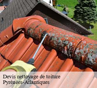 Devis nettoyage de toiture