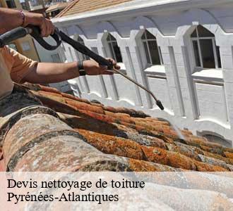 Devis nettoyage de toiture
