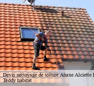 Devis nettoyage de toiture