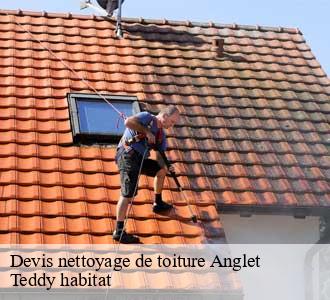 Devis nettoyage de toiture
