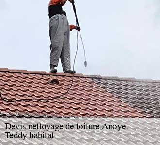 Devis nettoyage de toiture