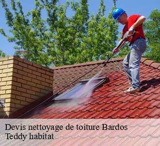 Devis nettoyage de toiture