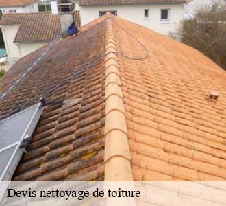 Devis nettoyage de toiture
