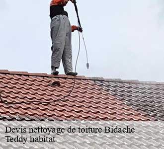 Devis nettoyage de toiture