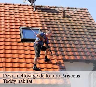 Devis nettoyage de toiture