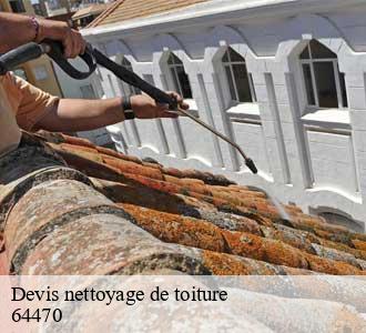 Devis nettoyage de toiture