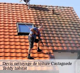 Devis nettoyage de toiture