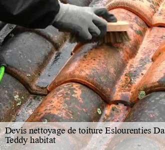 Devis nettoyage de toiture