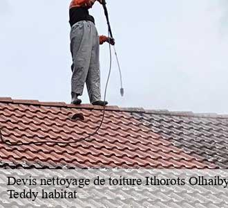 Devis nettoyage de toiture