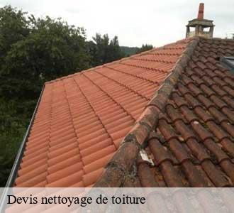 Devis nettoyage de toiture