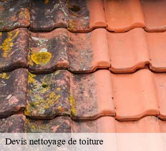 Devis nettoyage de toiture