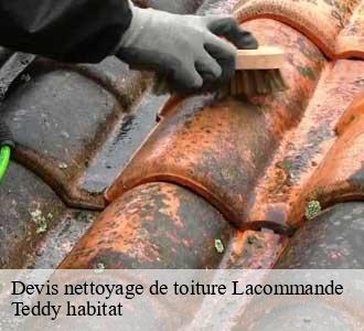 Devis nettoyage de toiture