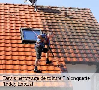 Devis nettoyage de toiture