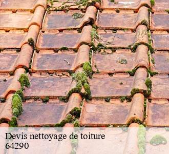 Devis nettoyage de toiture