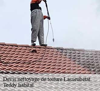 Devis nettoyage de toiture