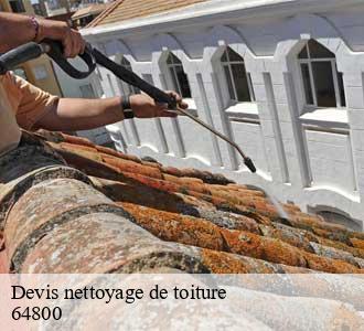 Devis nettoyage de toiture