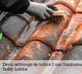 Devis nettoyage de toiture
