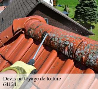 Devis nettoyage de toiture