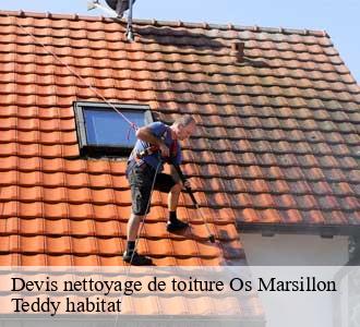 Devis nettoyage de toiture