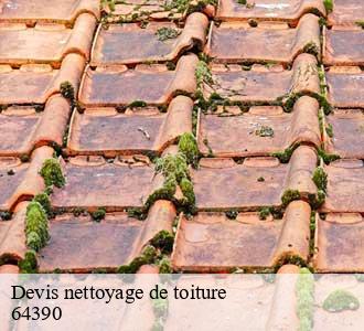 Devis nettoyage de toiture