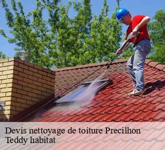 Devis nettoyage de toiture