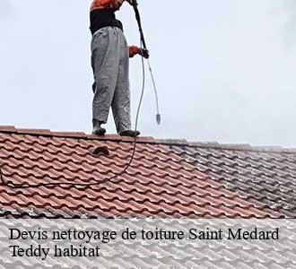 Devis nettoyage de toiture