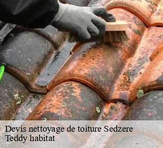 Devis nettoyage de toiture