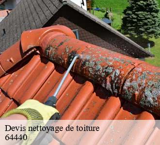 Devis nettoyage de toiture