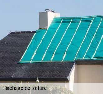 Bachage de toiture