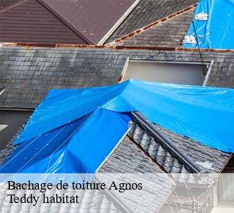 Bachage de toiture