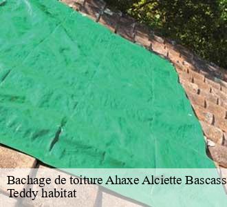 Bachage de toiture