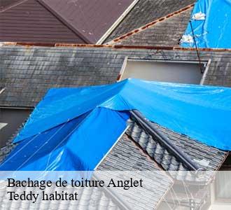 Bachage de toiture