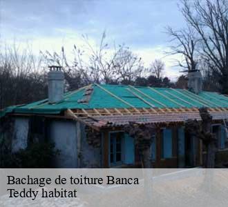 Bachage de toiture