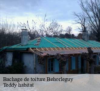 Bachage de toiture