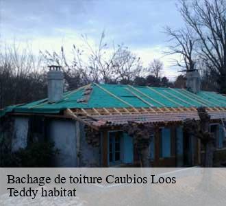 Bachage de toiture