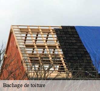Bachage de toiture