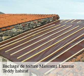 Bachage de toiture