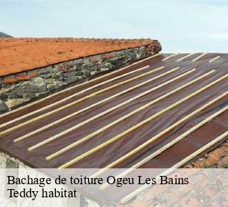 Bachage de toiture
