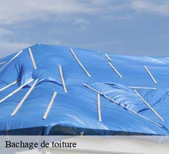 Bachage de toiture
