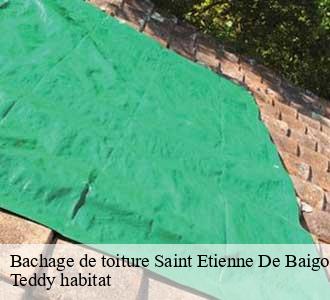 Bachage de toiture