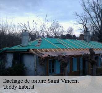 Bachage de toiture