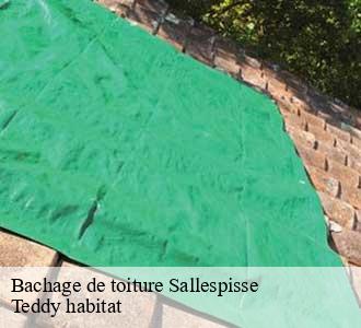 Bachage de toiture