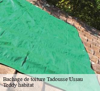 Bachage de toiture