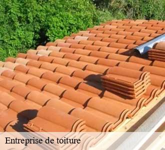 Entreprise de toiture
