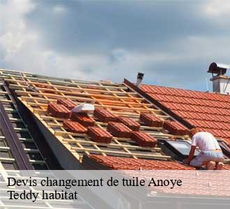 Devis changement de tuile