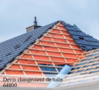 Devis changement de tuile
