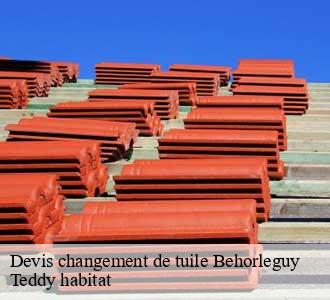 Devis changement de tuile