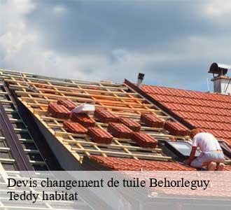 Devis changement de tuile