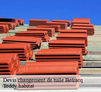 Devis changement de tuile