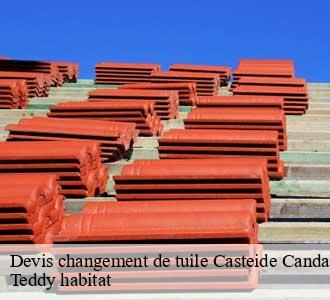 Devis changement de tuile